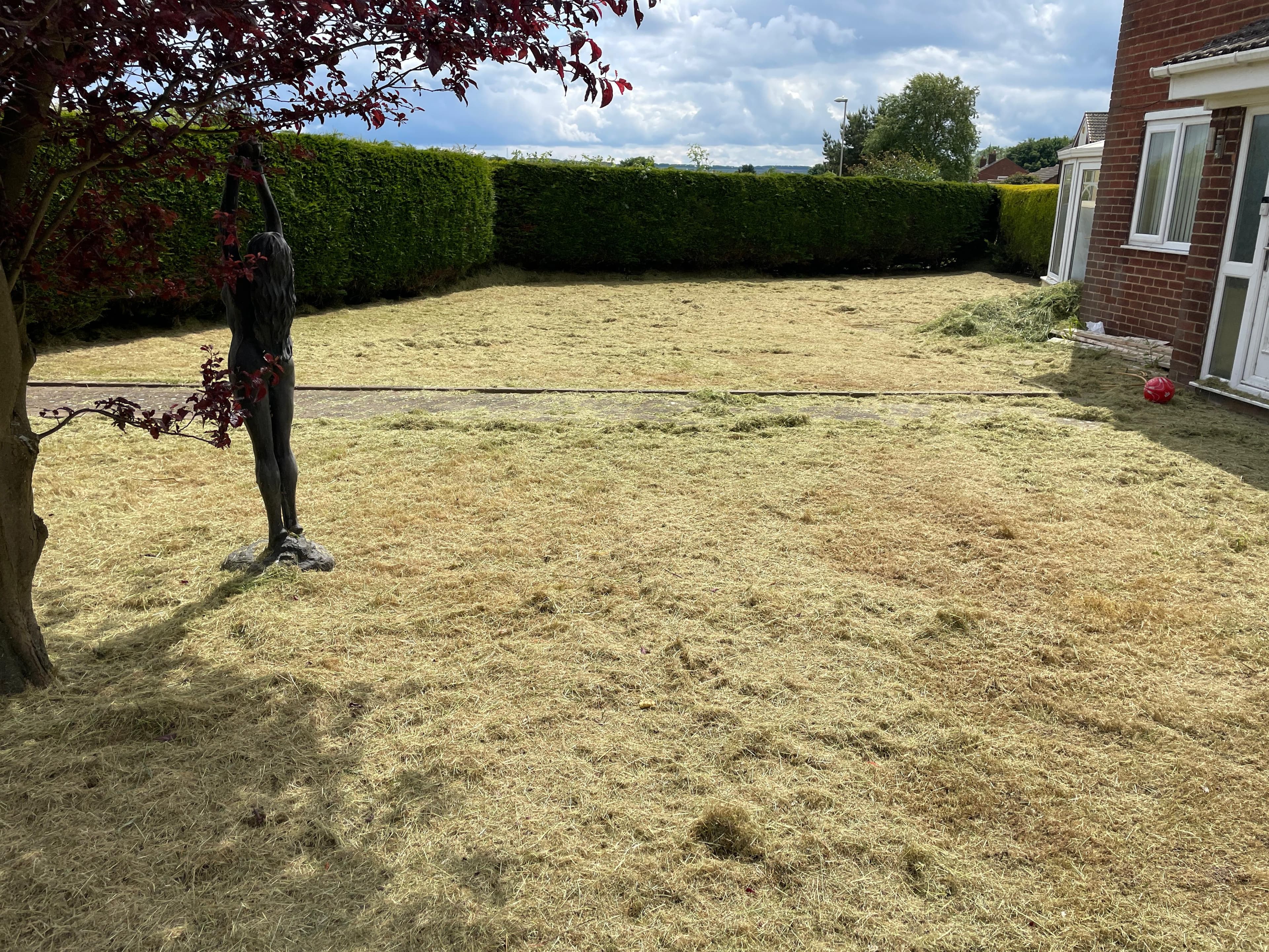 Garden clearance — Years of overgrowth, back to a workable plot.