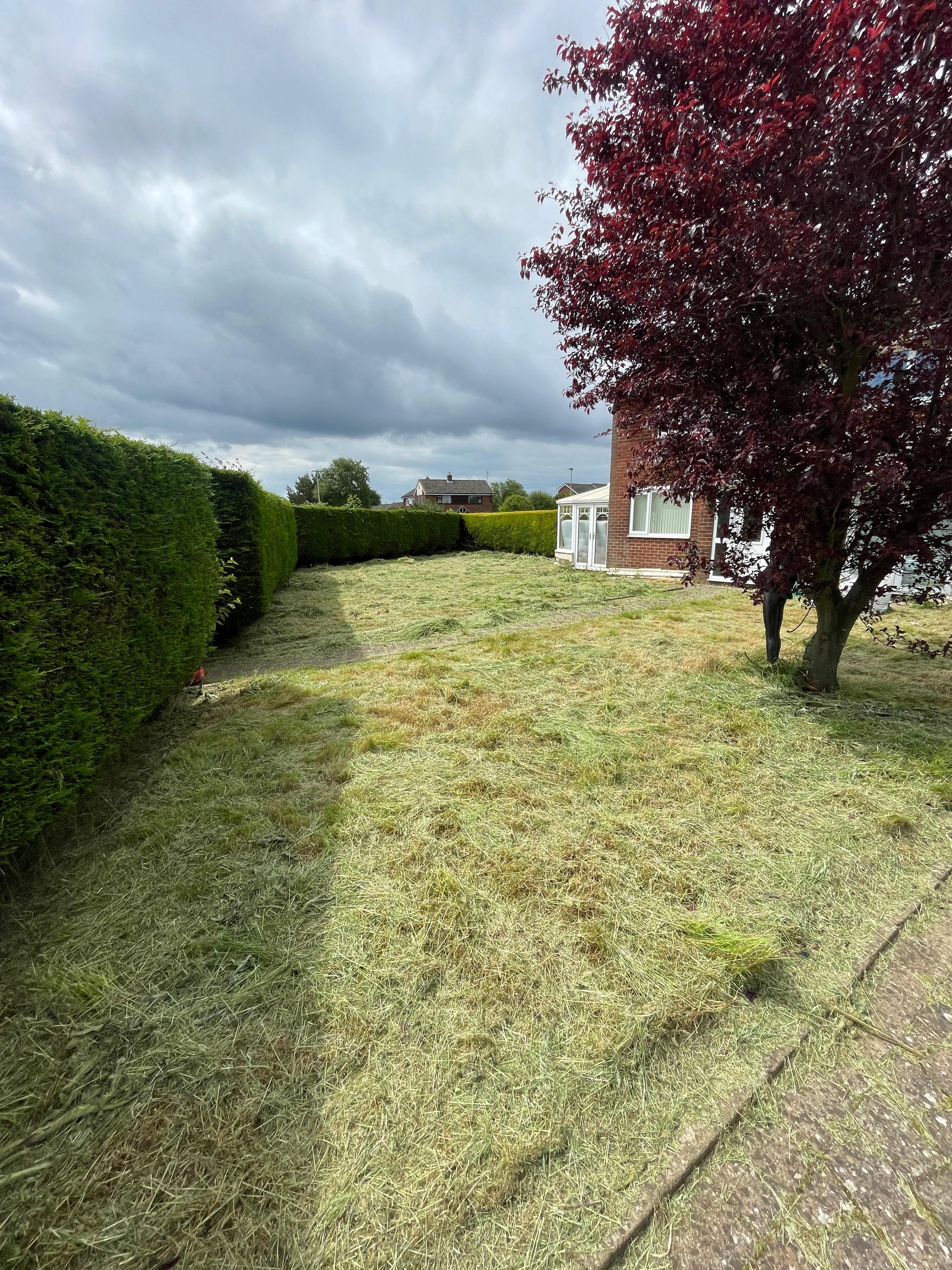 Hedge trimming — Annual cuts, crown lifts, reductions.